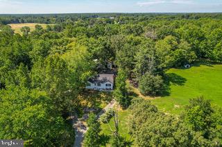 4379 DOCTOR SAMUEL MUDD ROAD - Photo 2