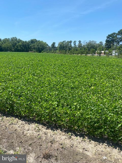 Vacant Land For Sale - Lawson Barnes Road<br/> CRISFIELD, MD 21817