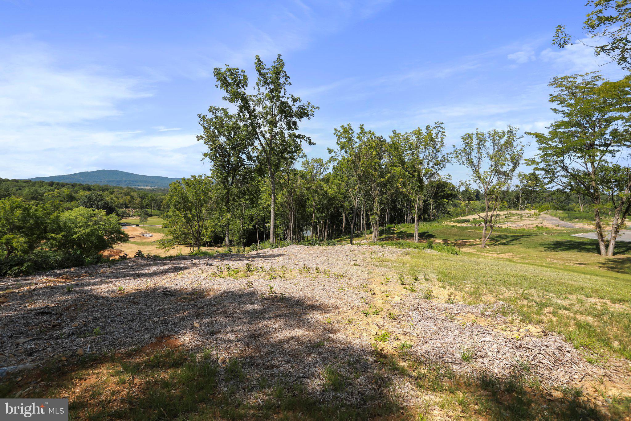 BELLA VISTA SUBDIVISION - SECTION 2, LOT 29