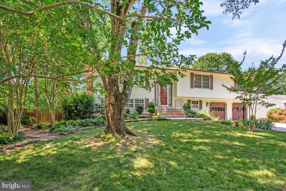 PINEFIELD - Residential