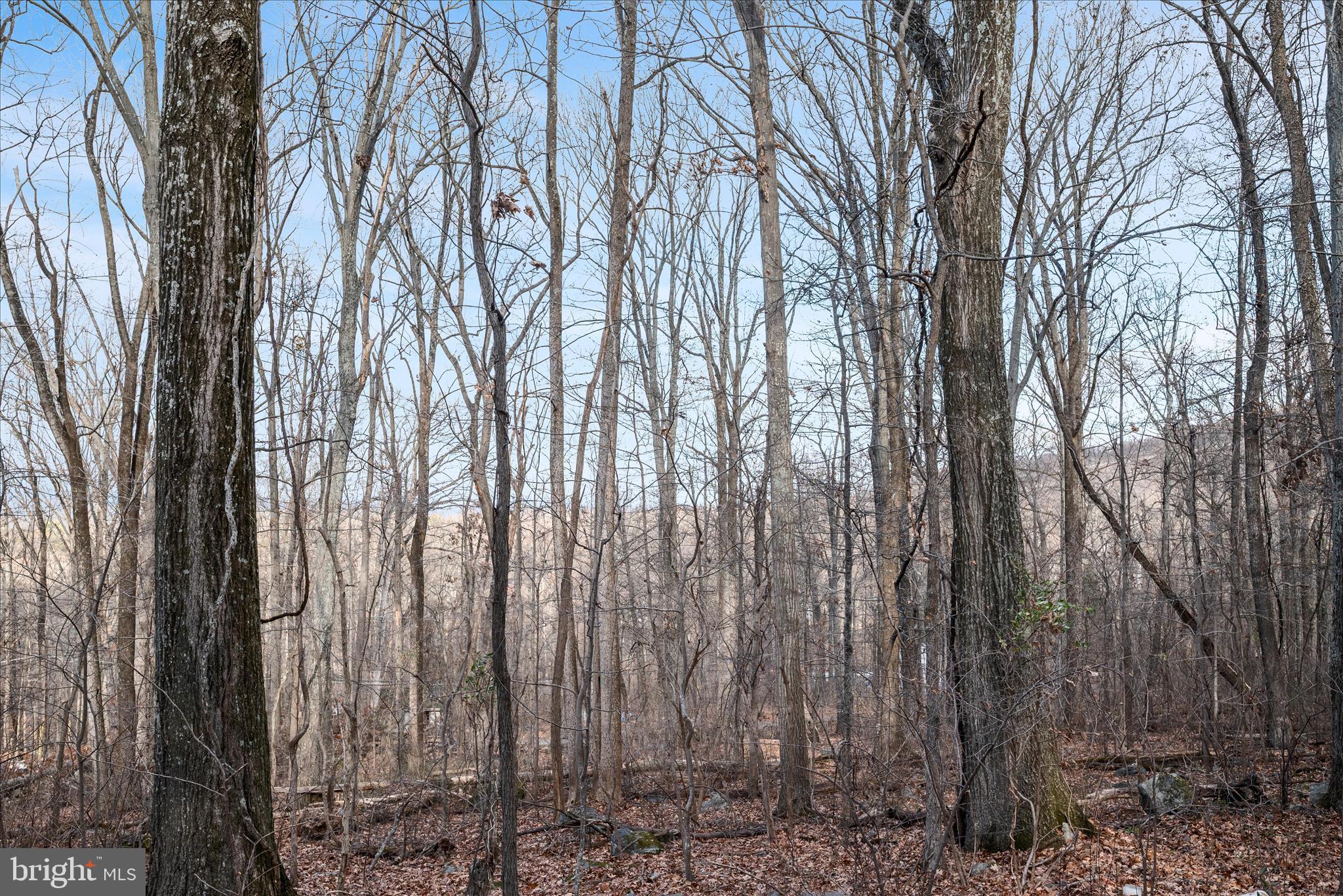 WEST RIDGE HILLS - Land