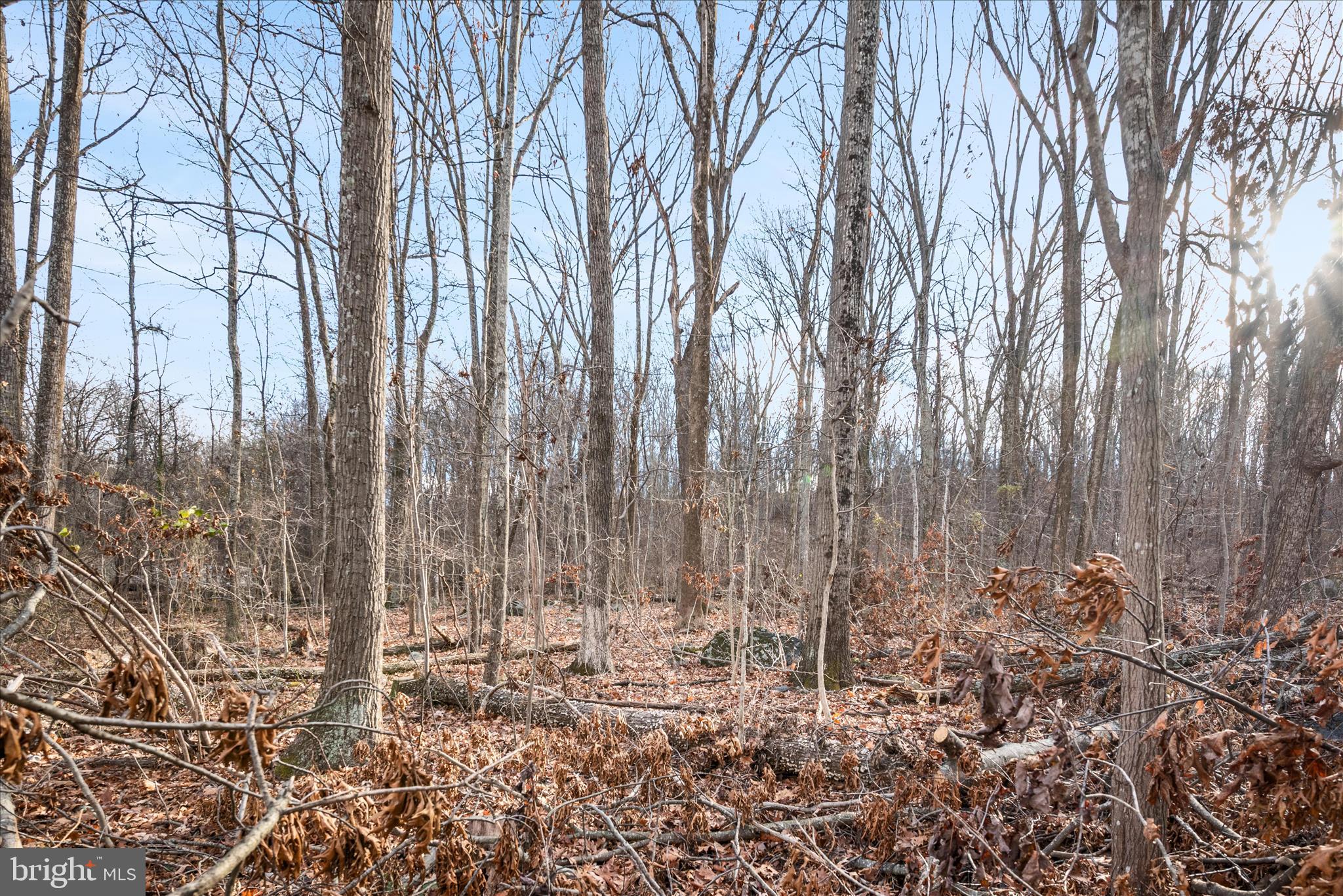 WEST RIDGE HILLS - Land