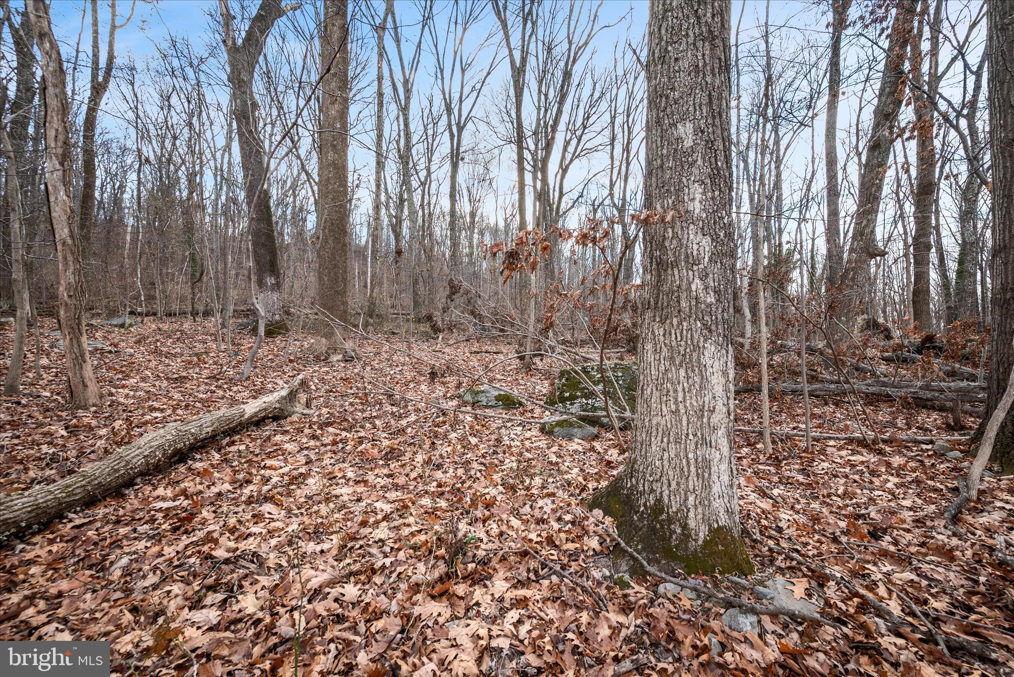 WEST RIDGE HILLS - Land