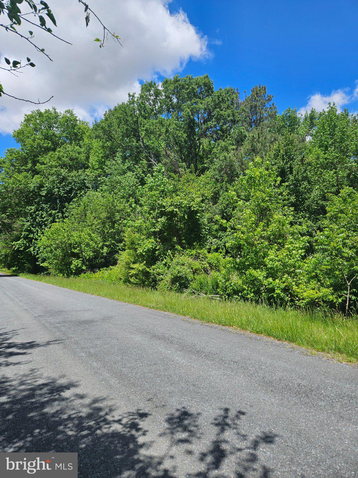 Lot 2 BURNT MILL ROAD LOT #2