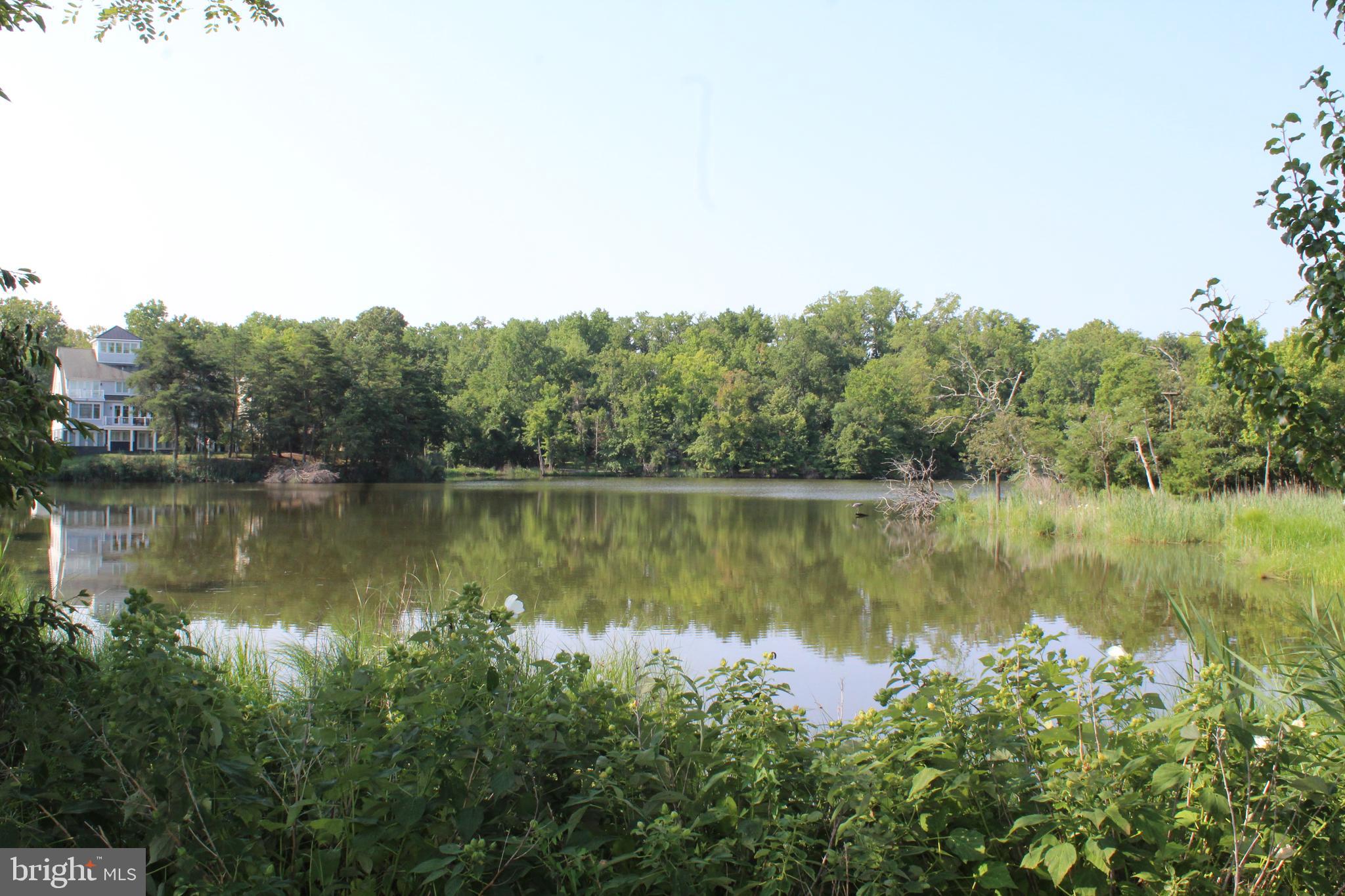 VILLAGE OF CHESAPEAKE HARBOUR - Residential