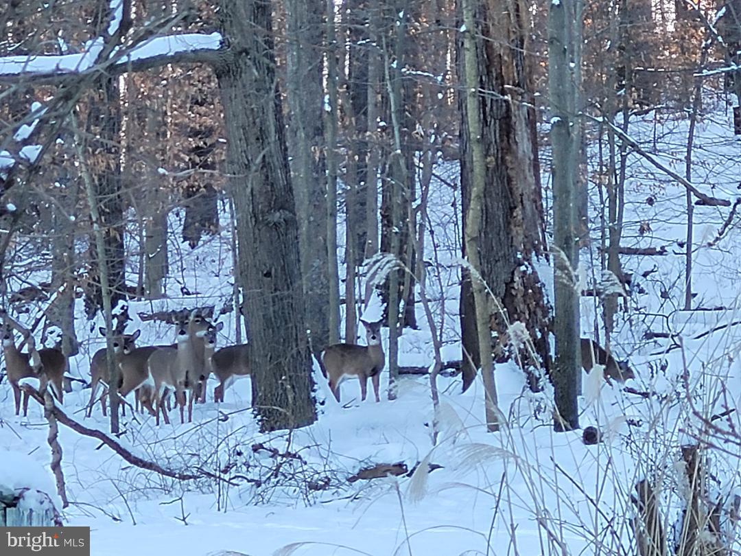 SPARKS GLENCOE - Residential