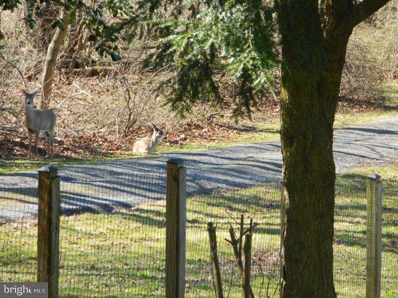 SPARKS GLENCOE - Residential