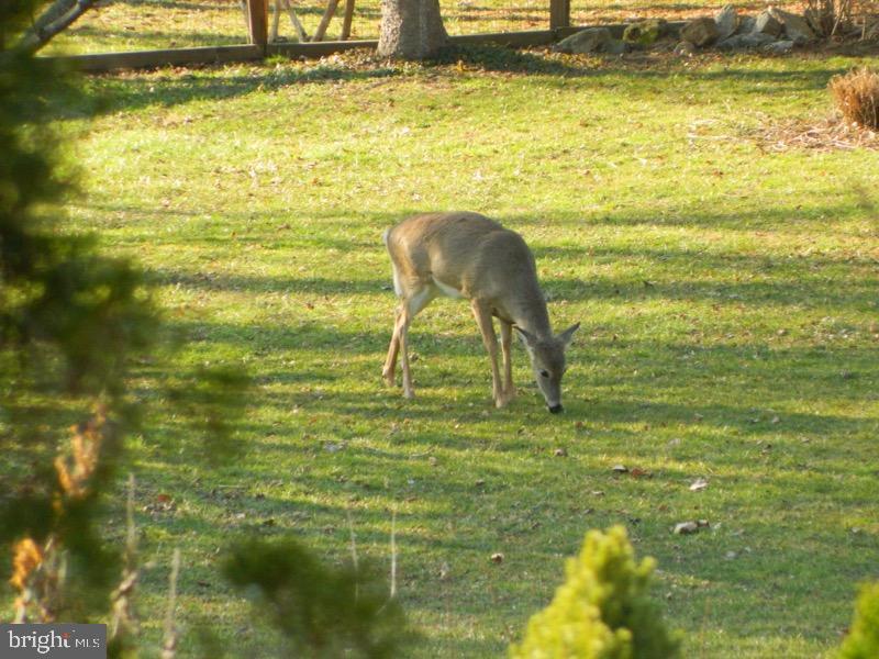 SPARKS GLENCOE - Residential