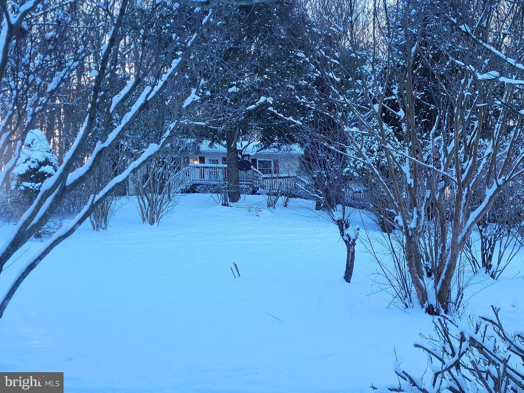 SPARKS GLENCOE - Residential