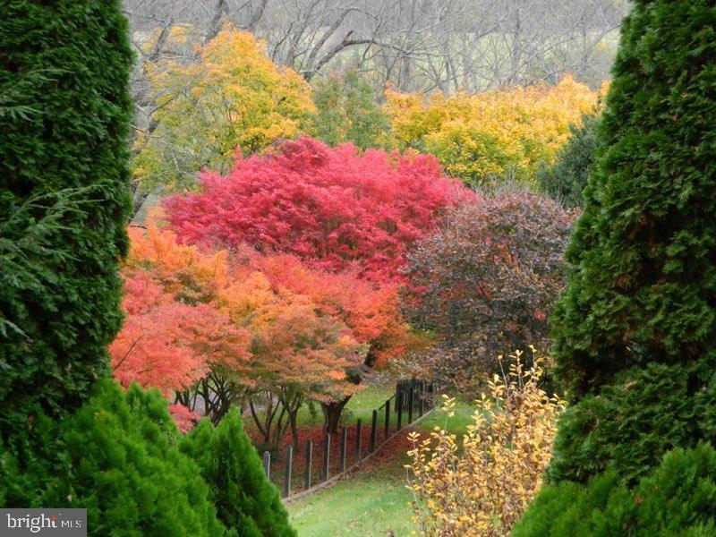 SPARKS GLENCOE - Residential