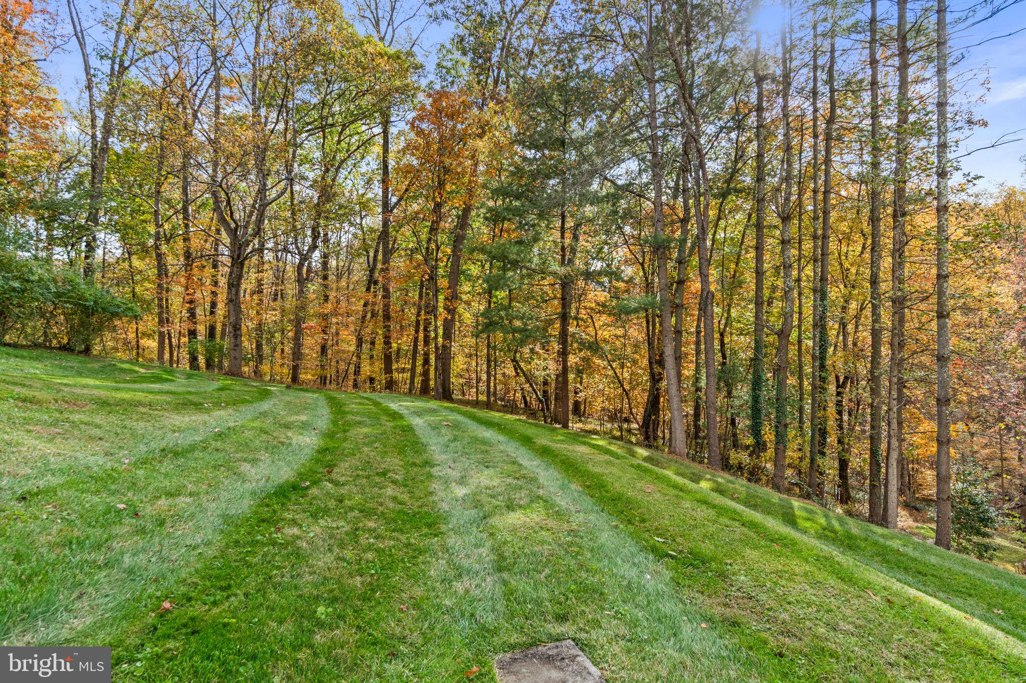 STRAWBRIDGE ESTATES - Residential