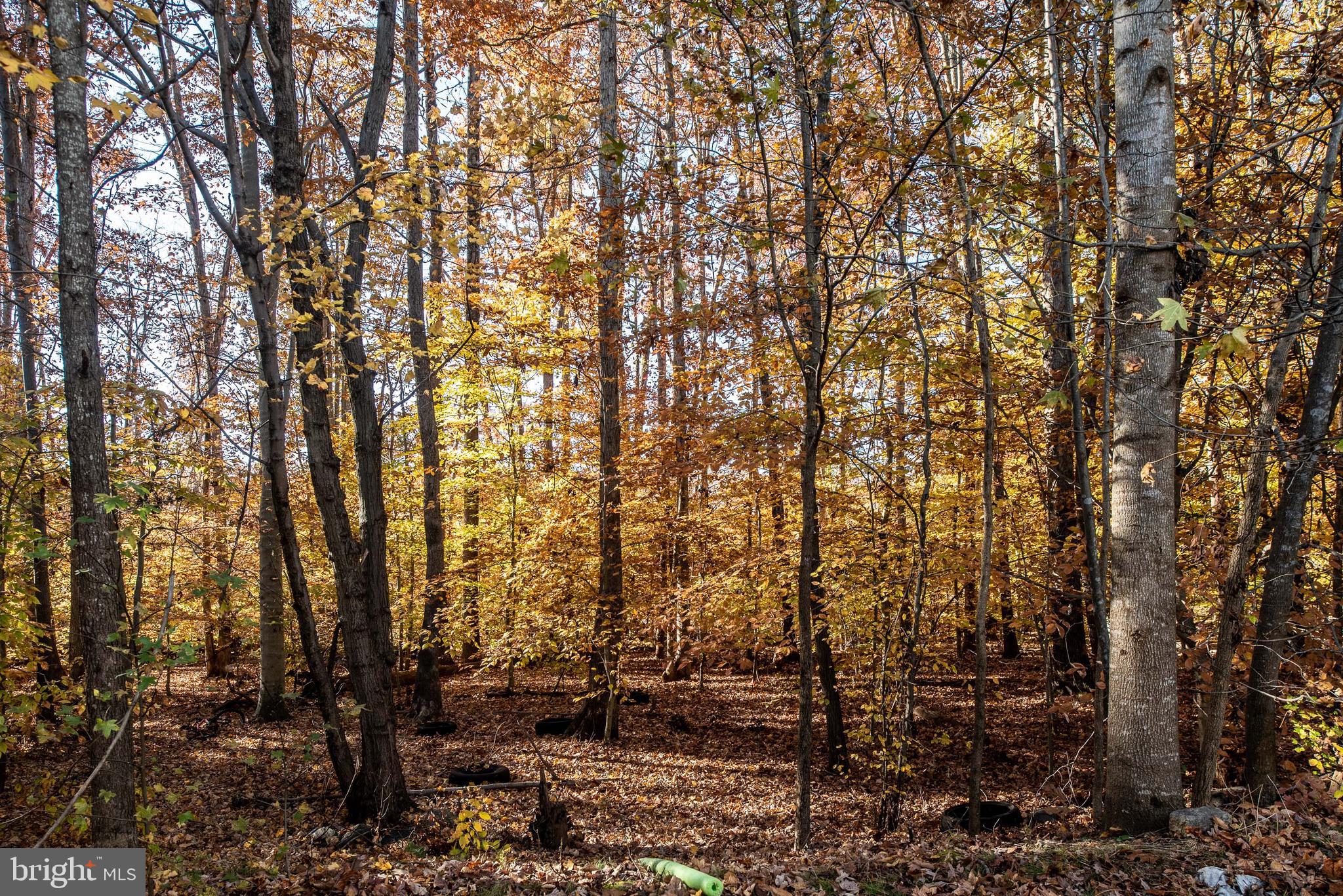 LAFAYETTE VILLAGE - Residential