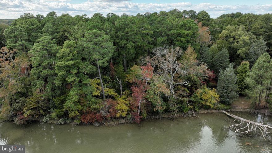 Shore Lane in Kinsale, VA, offer a serene waterfront experience with access to the picturesque Yeocomico River, a tributary of the Potomac. The area is characterized by its peaceful coves and good anchorages, such as Cornish Creek and Palmer Cove, which provide a tranquil setting for boating and fishing.

For community amenities, the neighborhood offers access to a pier, boat launch, and a sand beach, enhancing the waterfront lifestyle ideal for both starting families and fishing enthusiasts. Additionally, there's a country marina known as The Slips, which provides a boat ramp, WiFi, a clubhouse, newly renovated showers, restrooms, and laundry facilities. It's a historic marina that has been around since 1956 and is conveniently close to the Chesapeake Bay.

The Slips is also a hub for an engaging group of sailors and adventurers, making it a great spot for those interested in maritime activities and community. It can accommodate a variety of vessels and serves as a perfect base for exploring the Northern Neck and Chesapeake Bay. Nearby, there's also Kinsale Museum, a Virginia historic site, and other river access points like Olversons Lodge Creek Marina and Bonums Landing Boat Ramp, offering more options for water-based activities.

The Yeocomico Club in the area provides another layer of social and recreational activities, with events and access organized around the river, further adding to the community feel of the area.