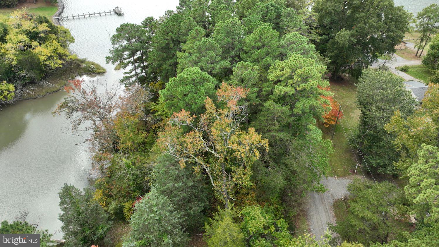 SHANNON PARK BEACH - Land