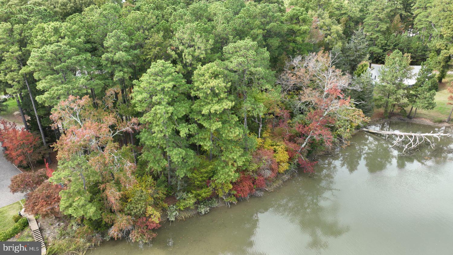 SHANNON PARK BEACH - Land