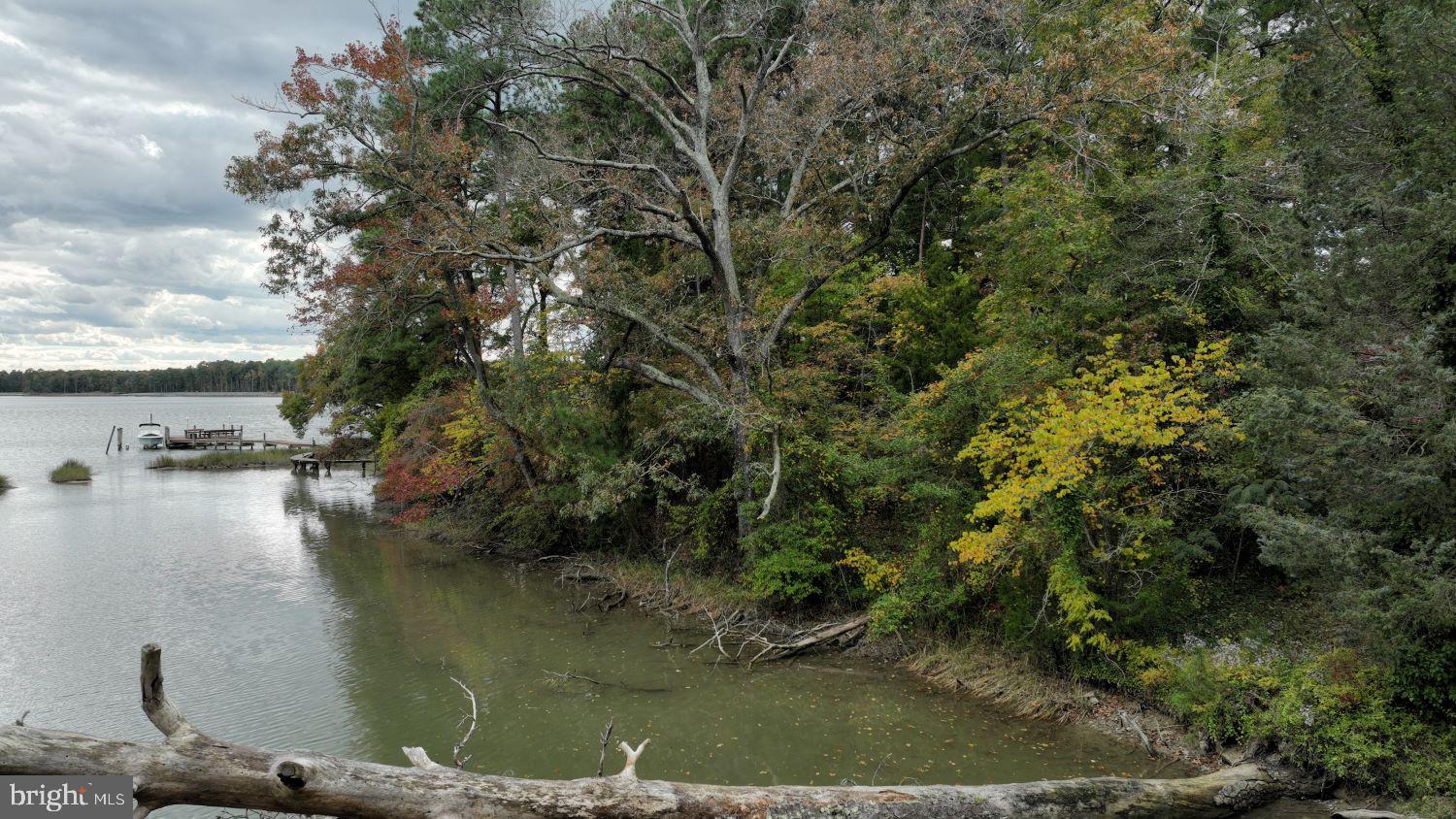 SHANNON PARK BEACH - Land