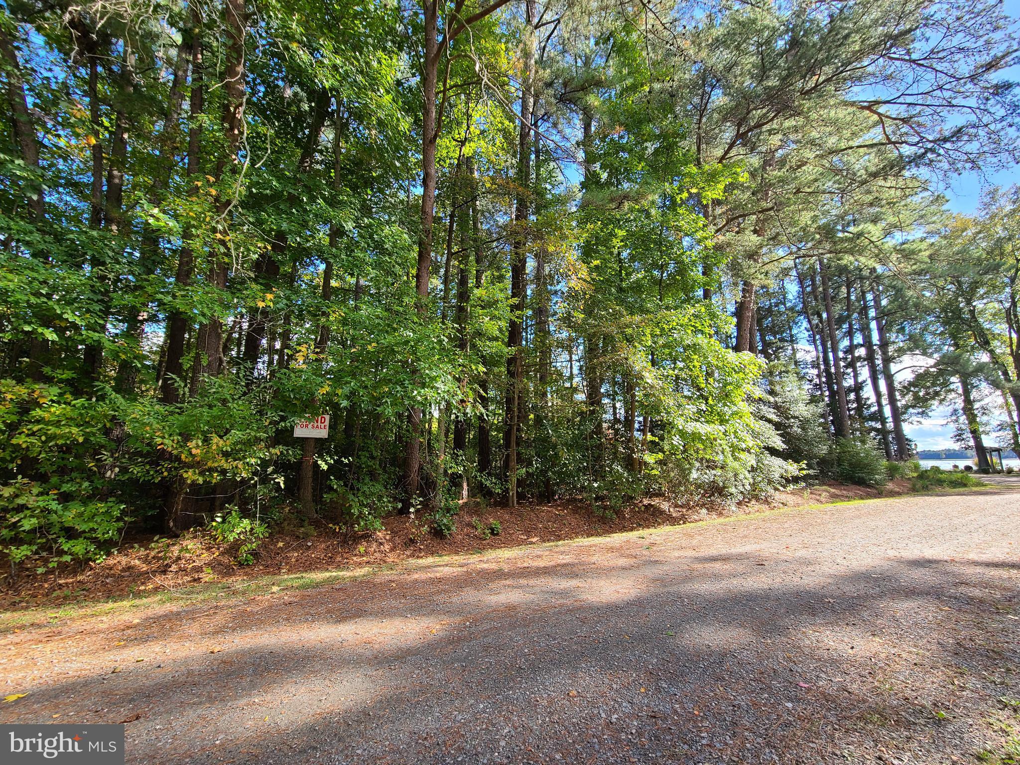 SHANNON PARK BEACH - Land