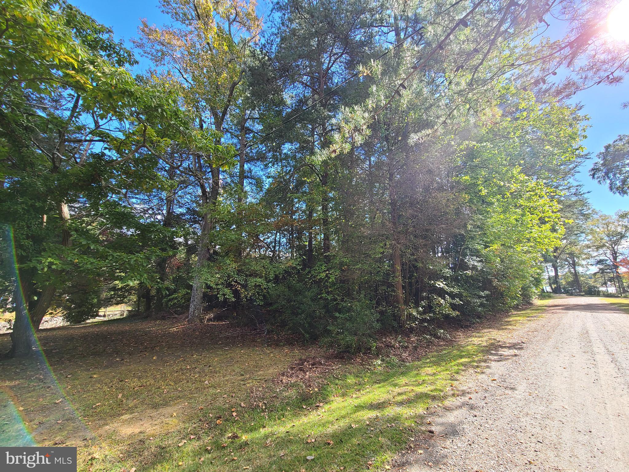SHANNON PARK BEACH - Land