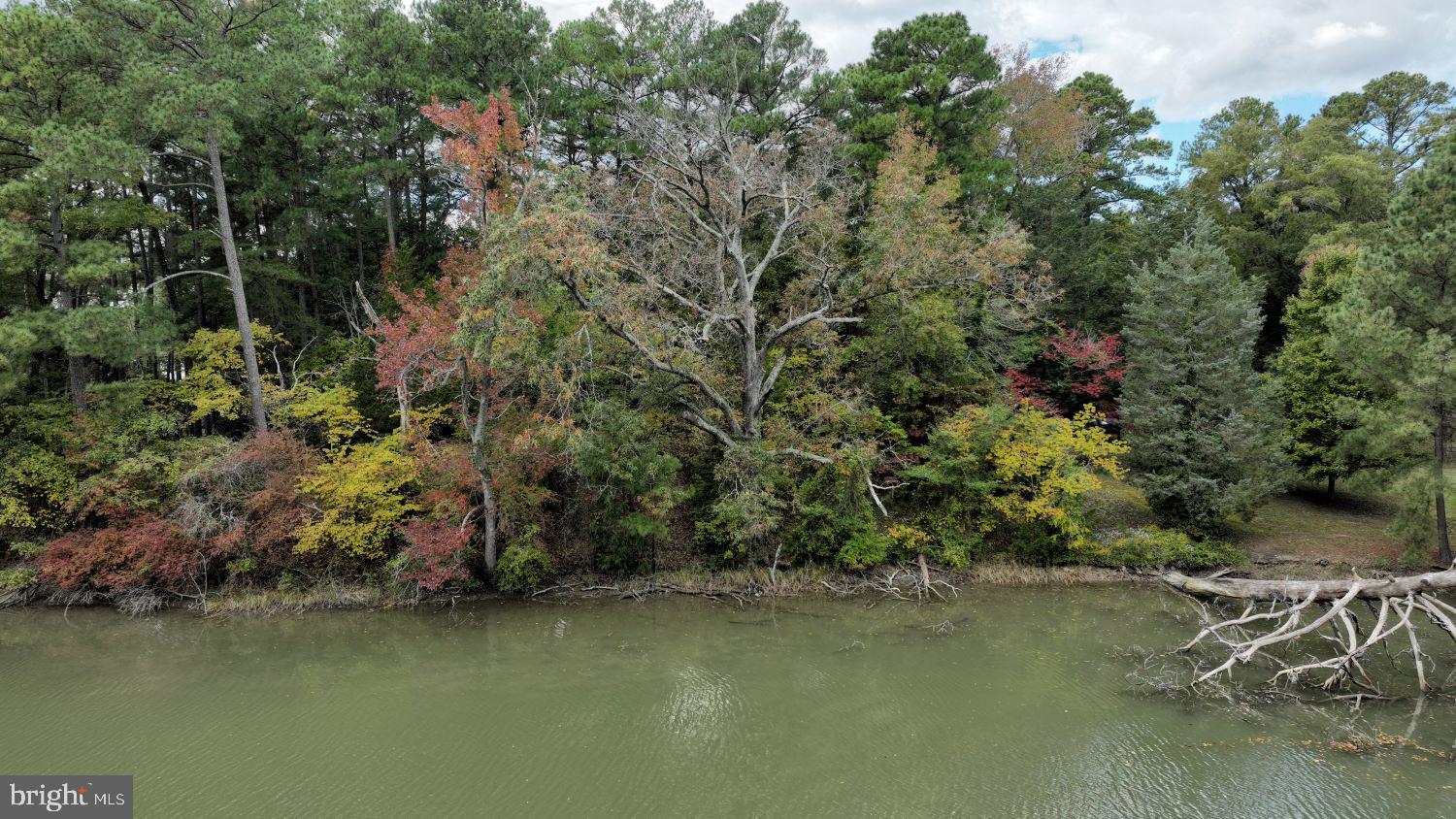 SHANNON PARK BEACH - Land