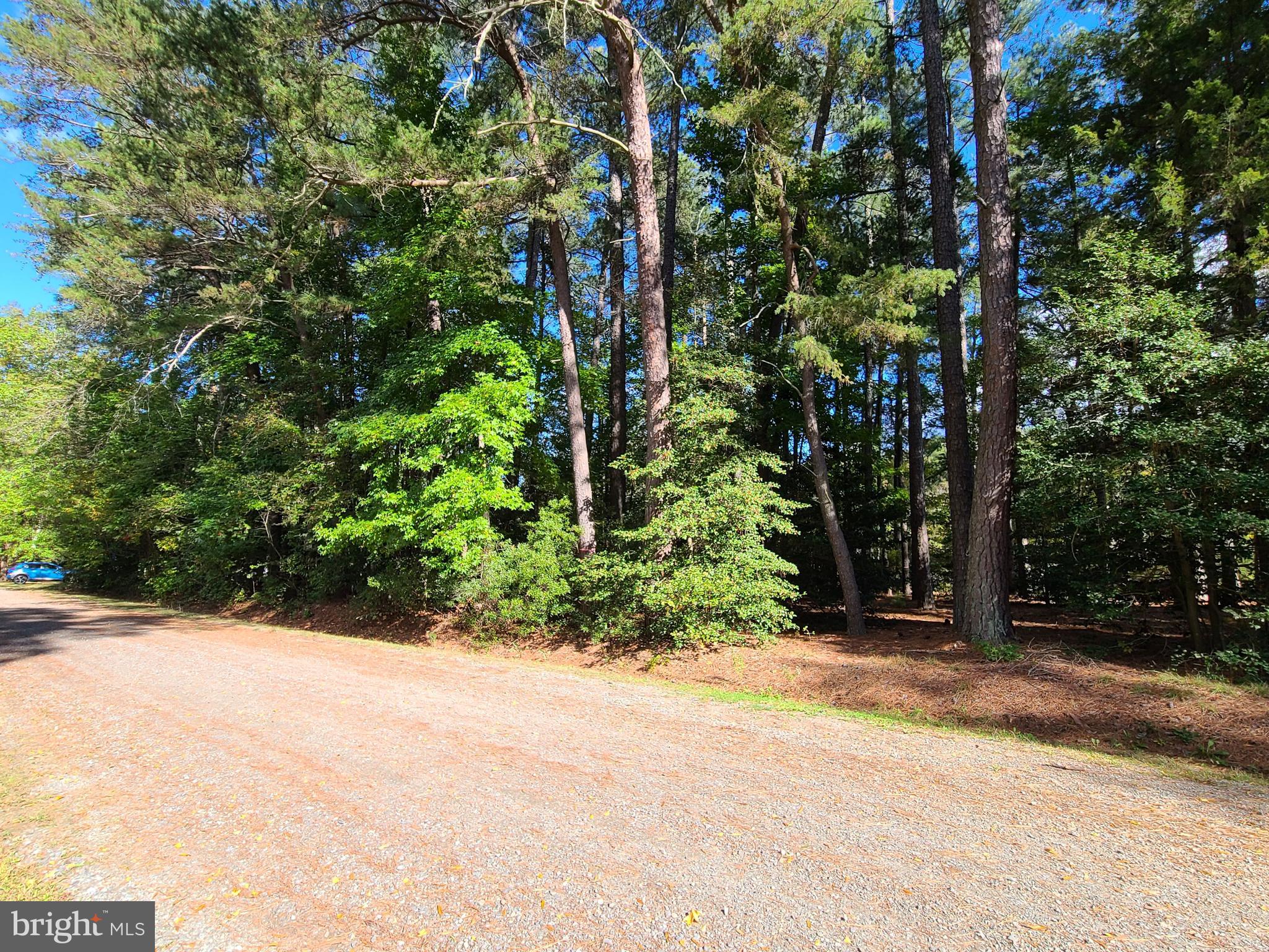 SHANNON PARK BEACH - Land