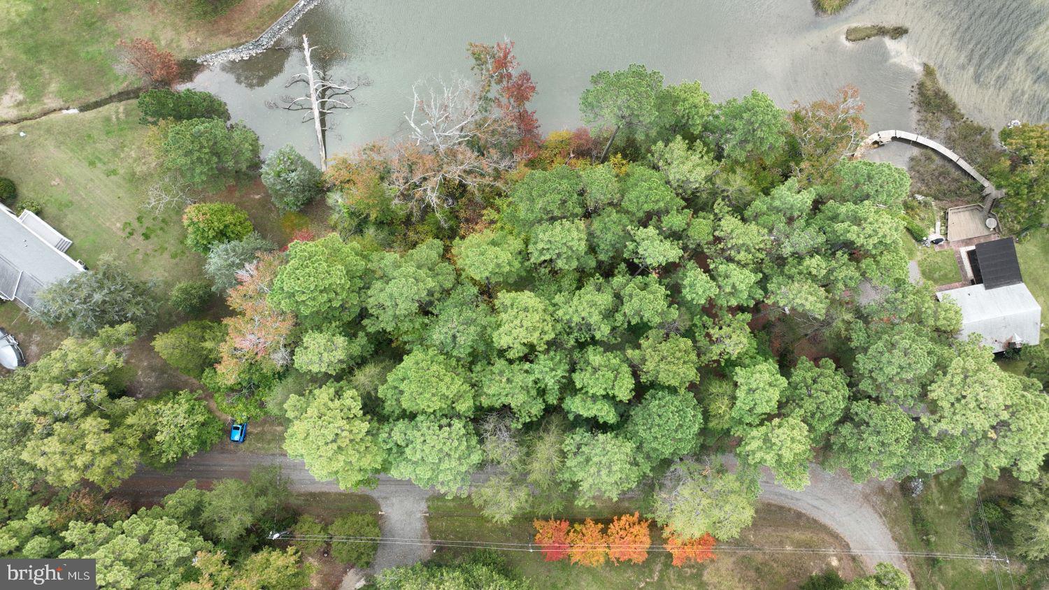 SHANNON PARK BEACH - Land