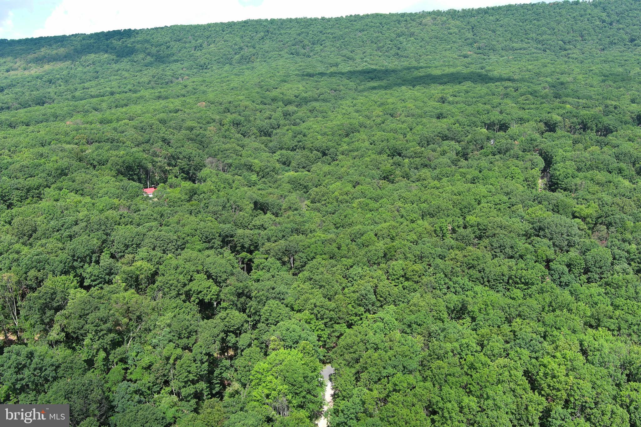 NORTH RIVER WILDERNESS - Land
