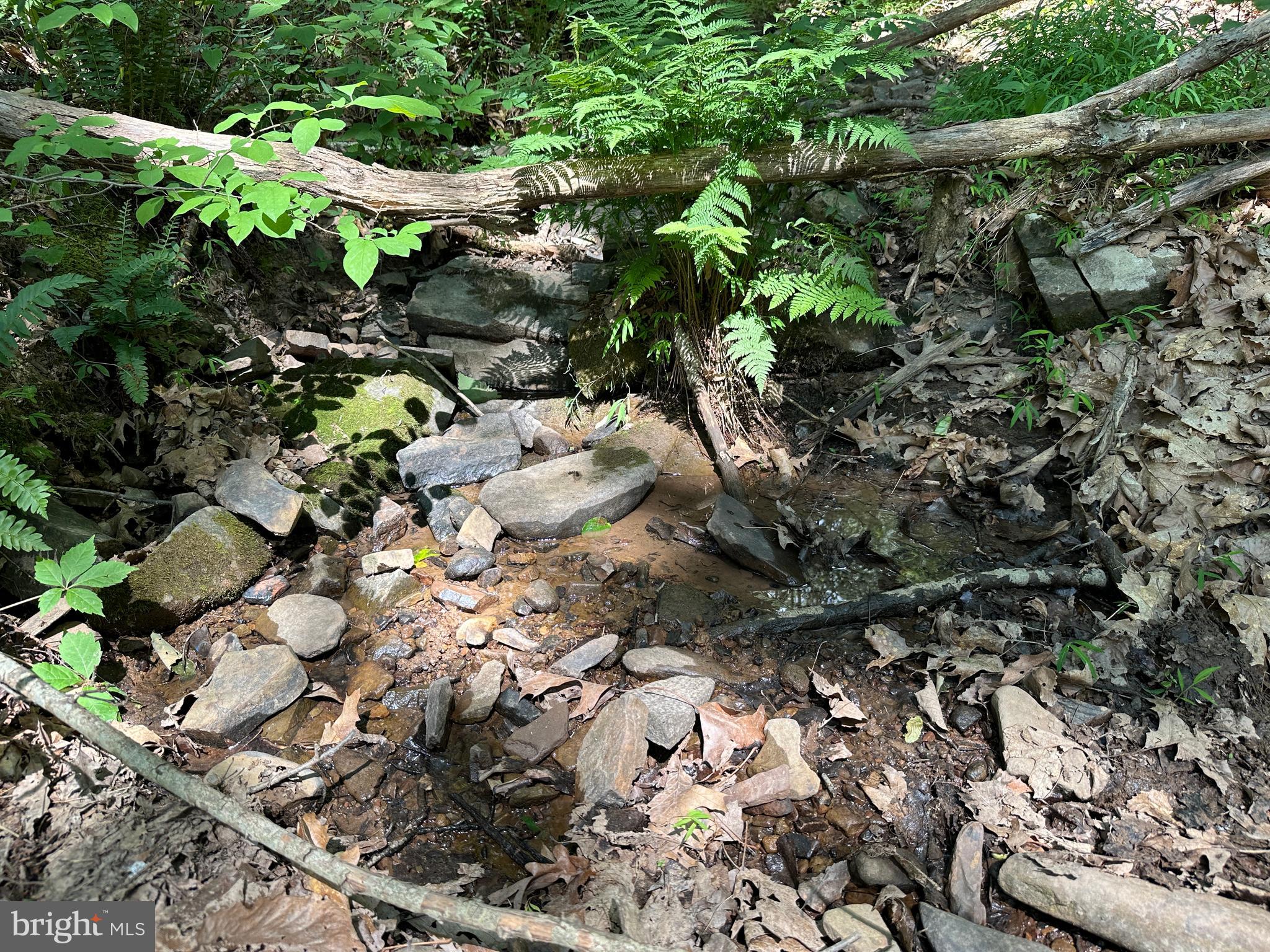 NORTH RIVER WILDERNESS - Land