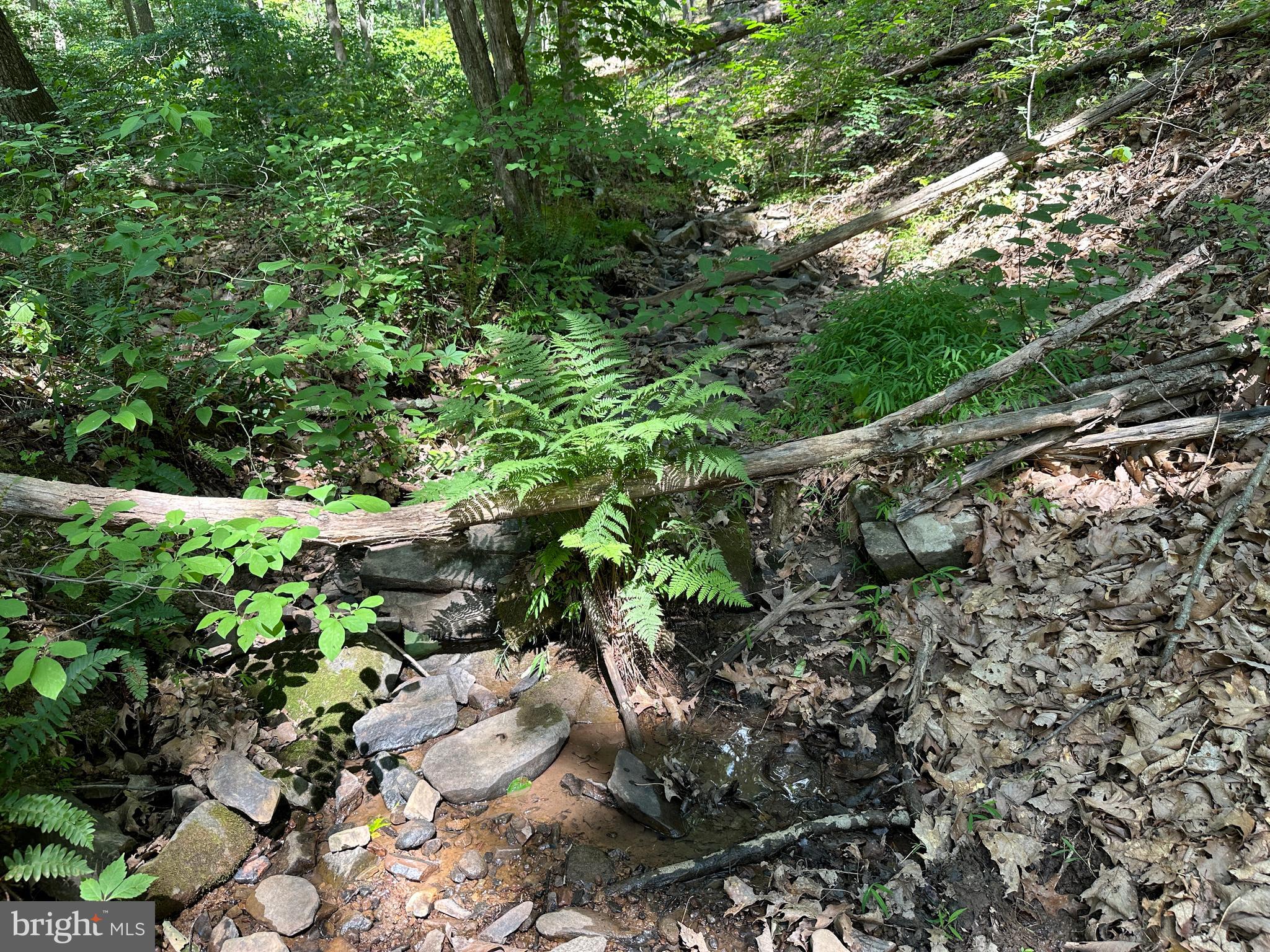 NORTH RIVER WILDERNESS - Land