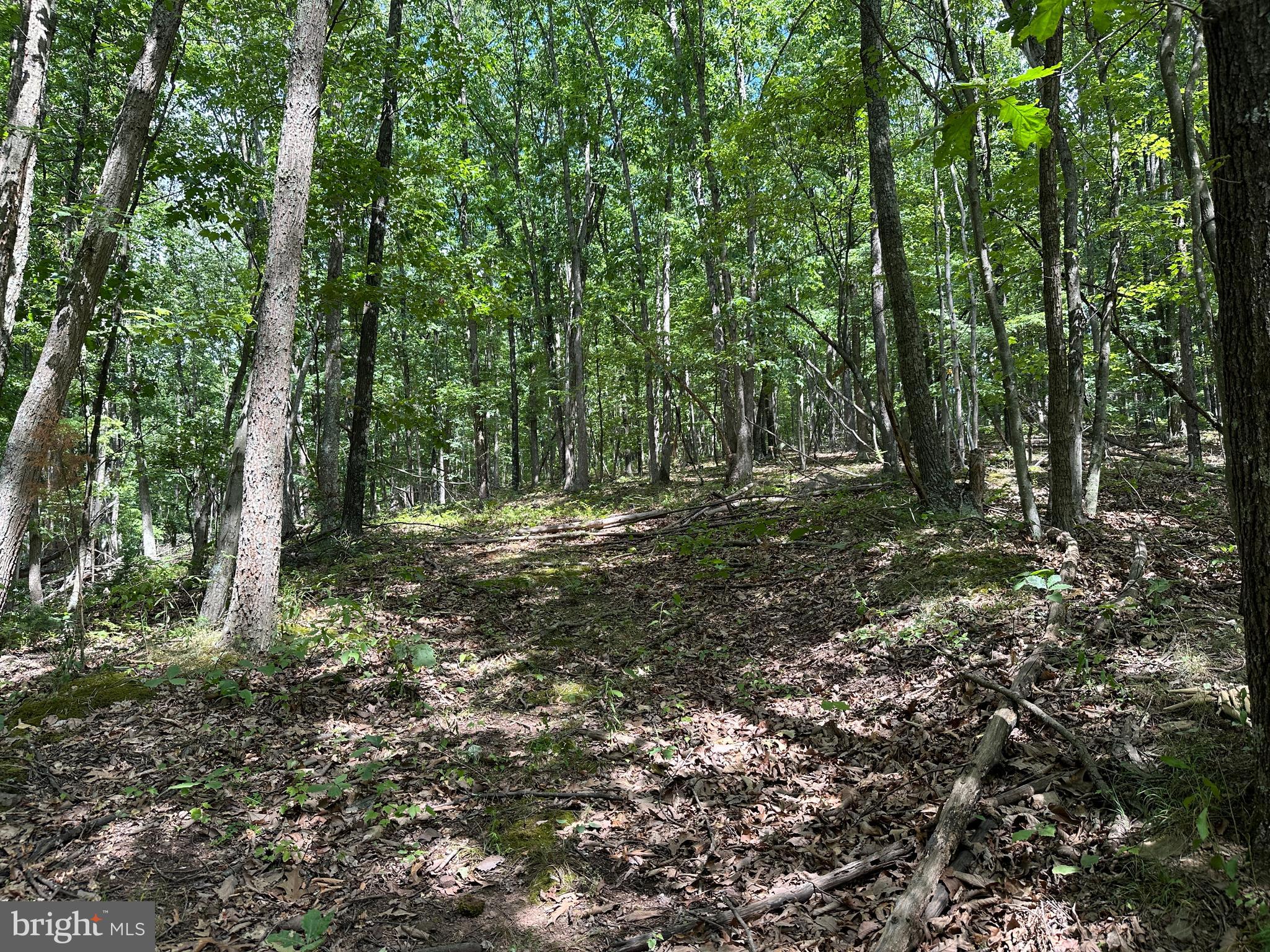 NORTH RIVER WILDERNESS - Land