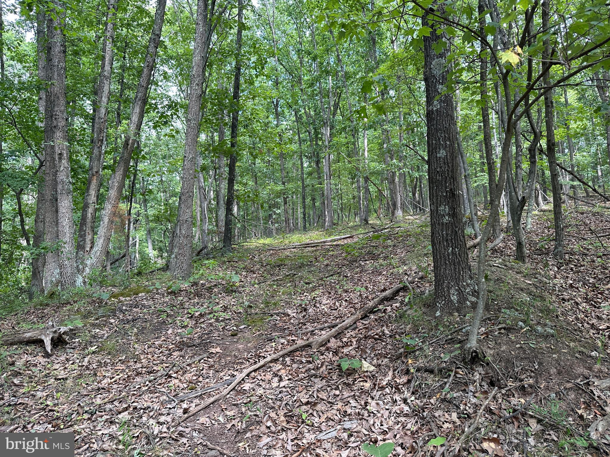 NORTH RIVER WILDERNESS - Land