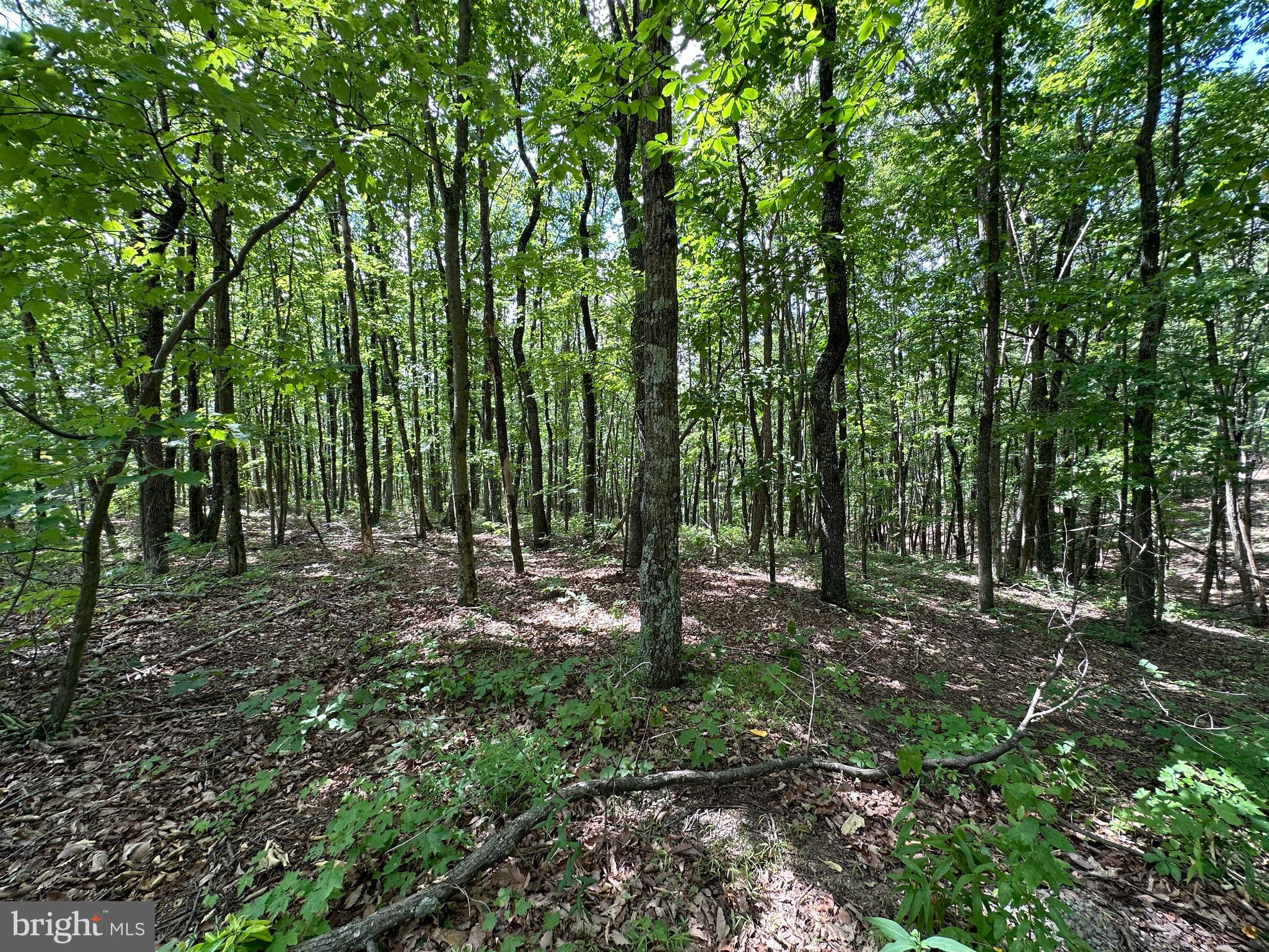 NORTH RIVER WILDERNESS - Land