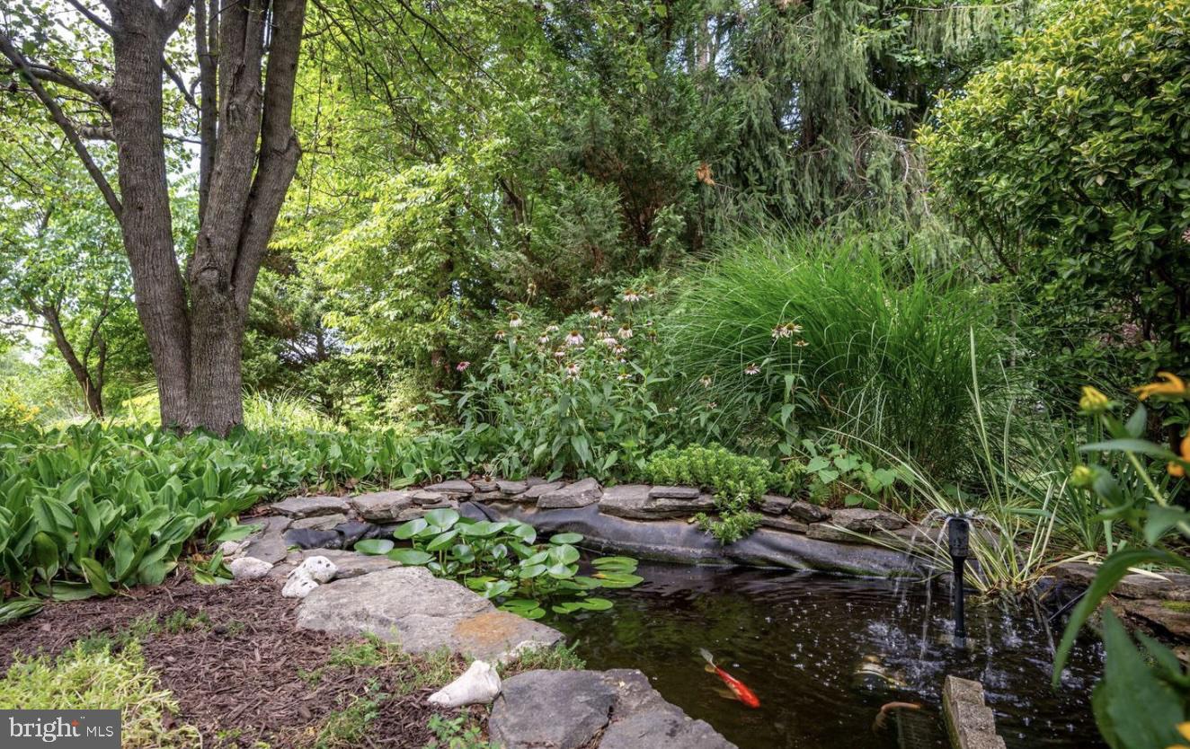 6035 TOWLES MILL ROAD