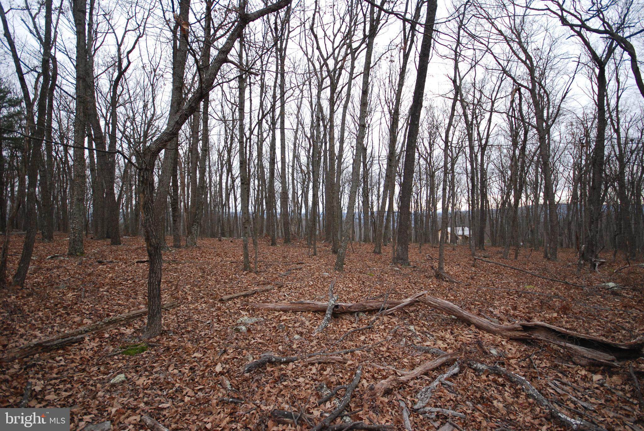 STAGECOACH STOP @ CAPON BRIDGE - Land