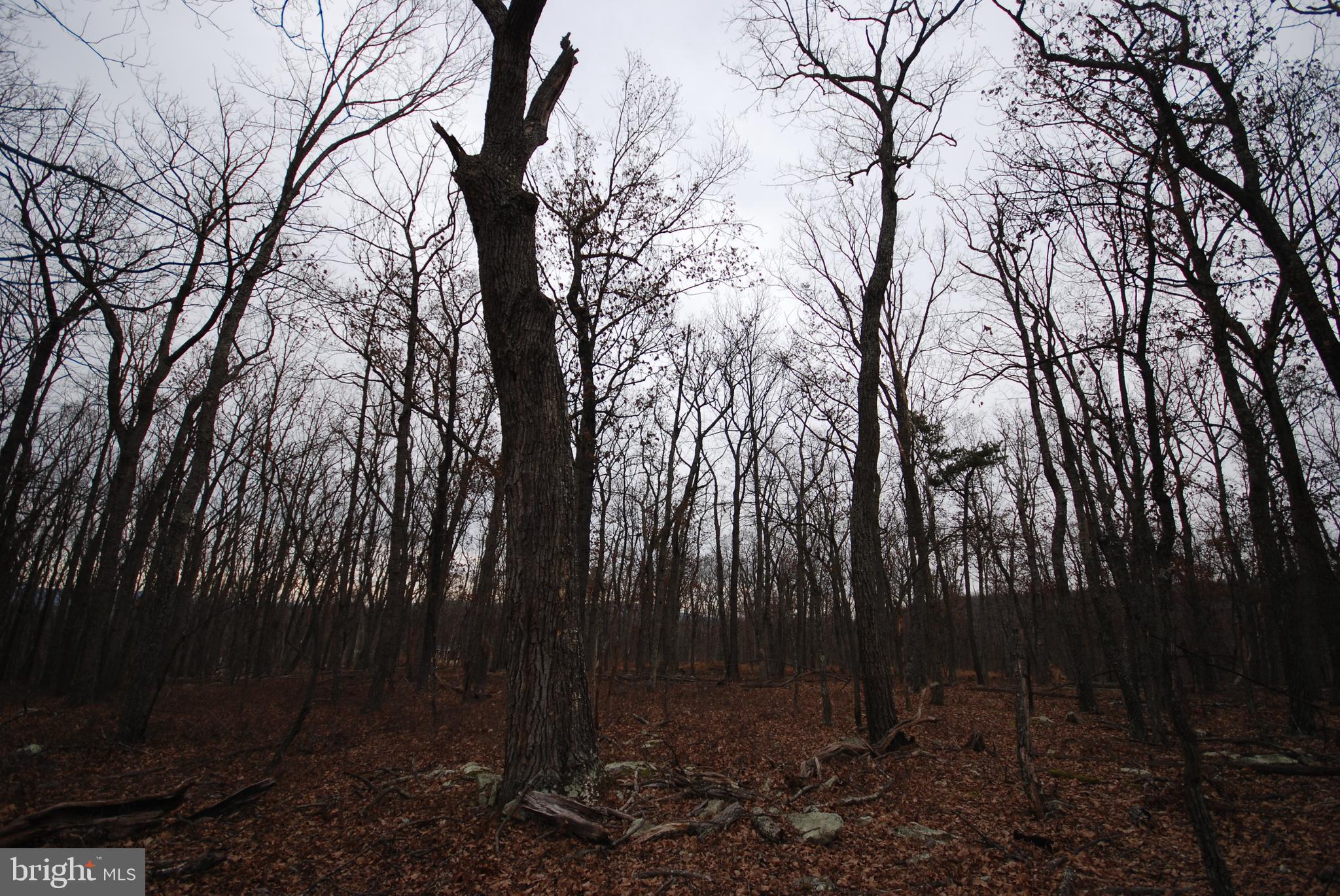 STAGECOACH STOP @ CAPON BRIDGE - Land
