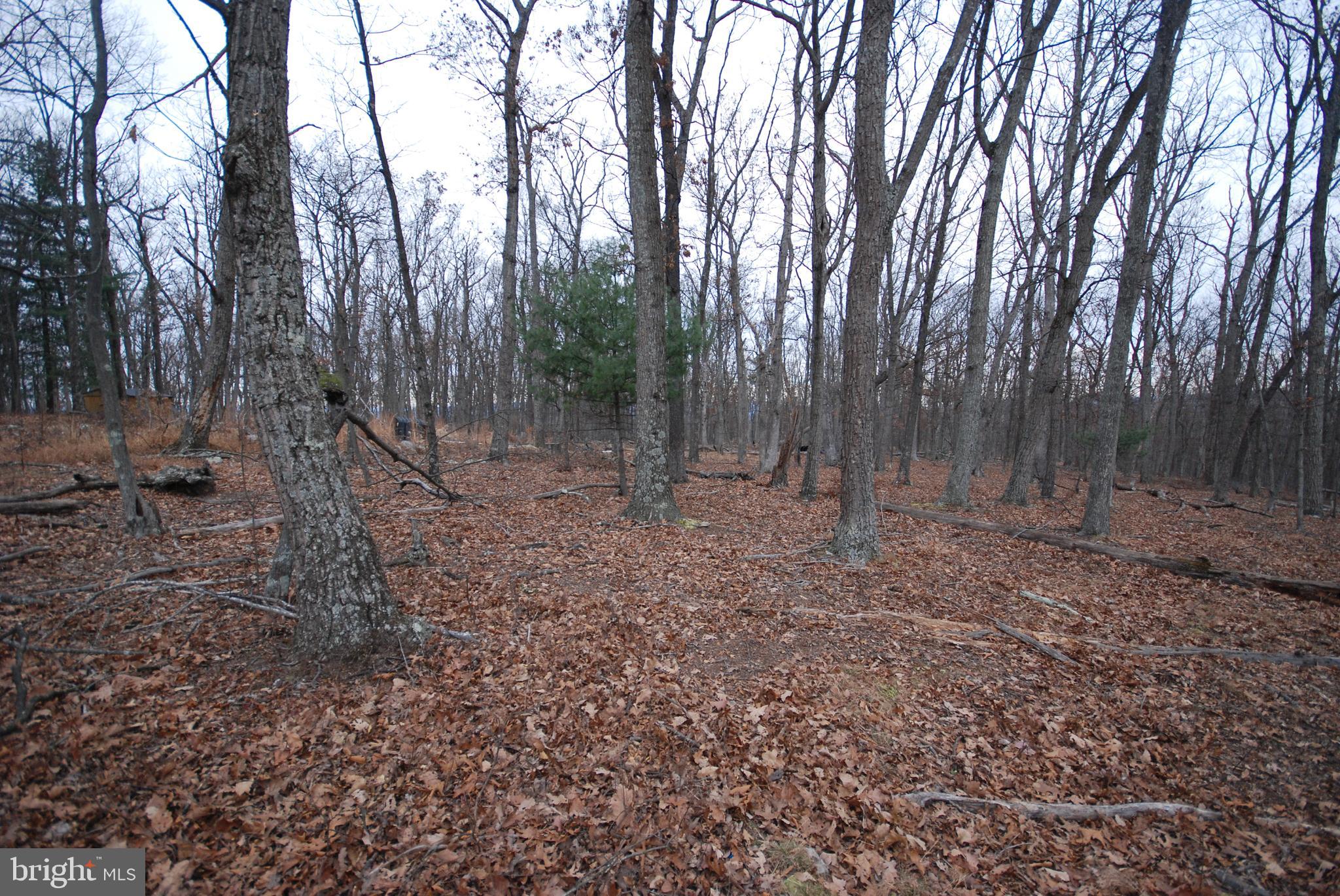 STAGECOACH STOP @ CAPON BRIDGE - Land