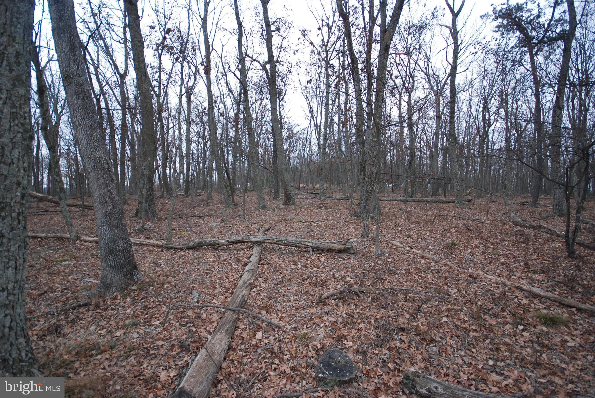 STAGECOACH STOP @ CAPON BRIDGE - Land