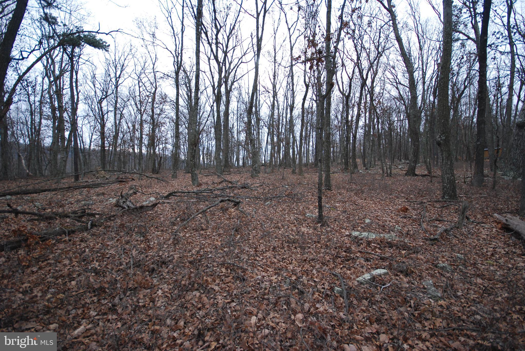 STAGECOACH STOP @ CAPON BRIDGE - Land