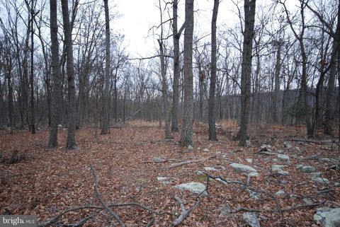 Lot 21 GOLD NUGGET ROAD AUGUSTA WV 26704