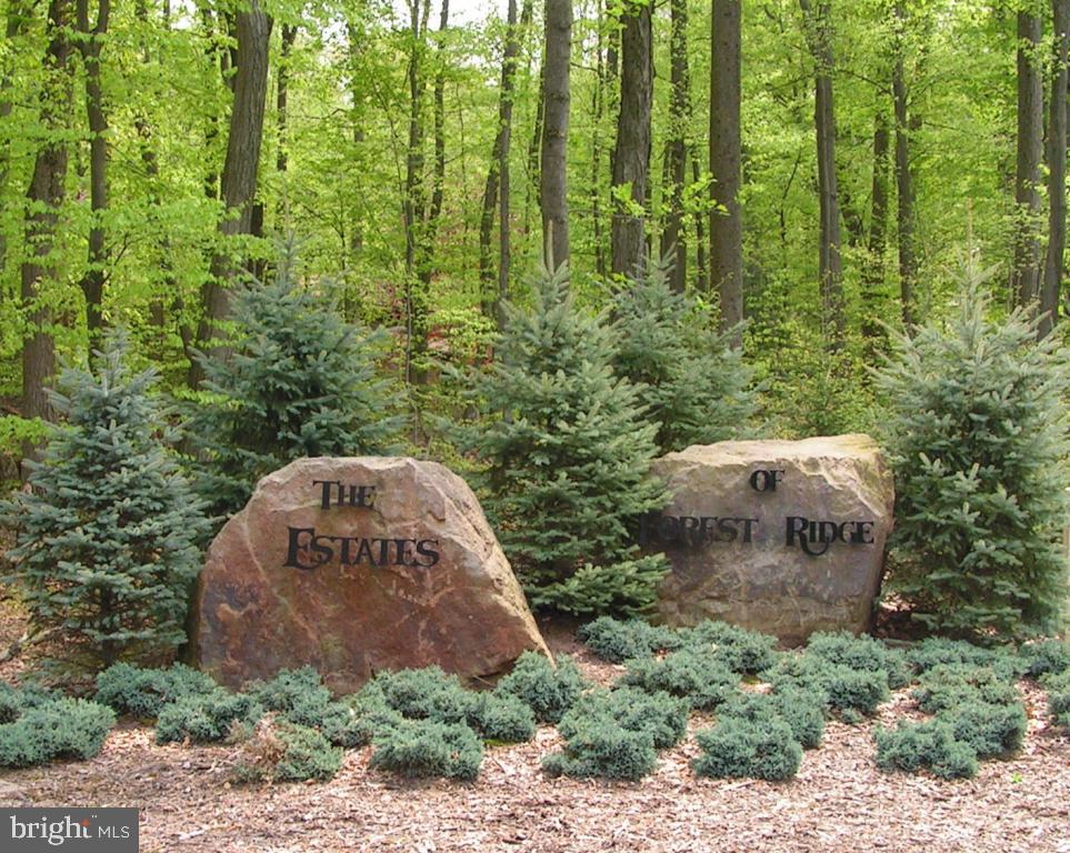 ESTATES OF FOREST RIDGE - Residential