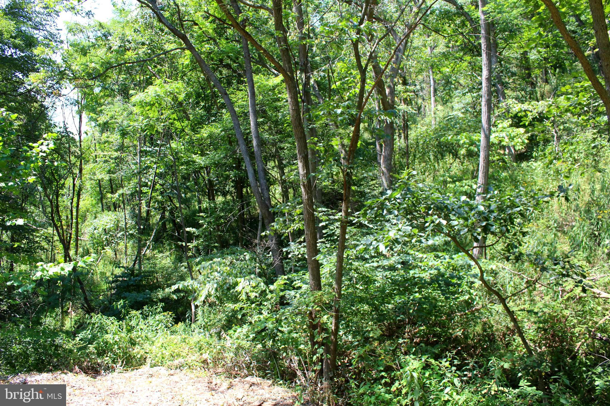 NONE AVAILABLE - Land