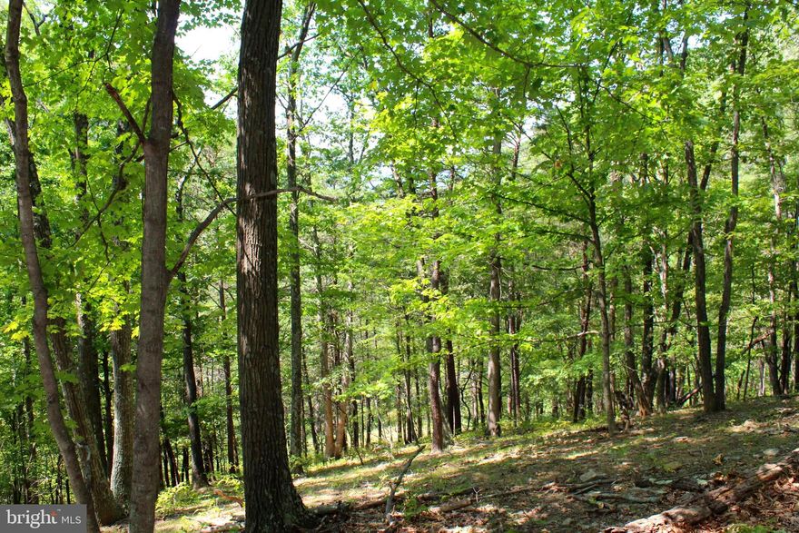 An exceptional opportunity to own 38 +/- acres of excellent recreational or hunting ground.  Located off a county maintained road with all-season, easy access.  Ideal location with being nearby to Petersburg & Keyser. The property is secluded with ample privacy.  Excellent cover and a spring feed stream meanders through the property to provide a perfect wildlife habitat.  Variation in elevation offers outstanding views with a little clearing of a few trees.  Electric Service is not nearby.  Great parcel for off grid living or hunting.   An outdoorsman's dream, don't miss an opportunity to own a piece of WV  land.  Make your appointment today to see this property.