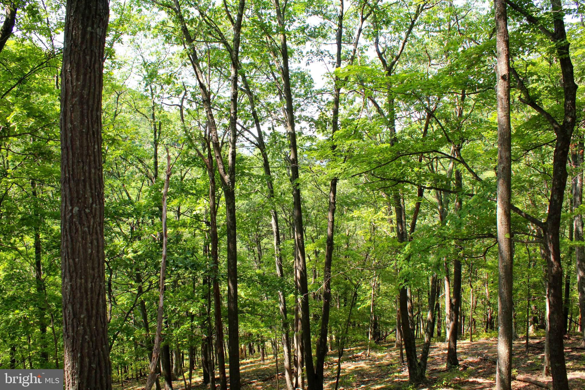 NONE AVAILABLE - Land