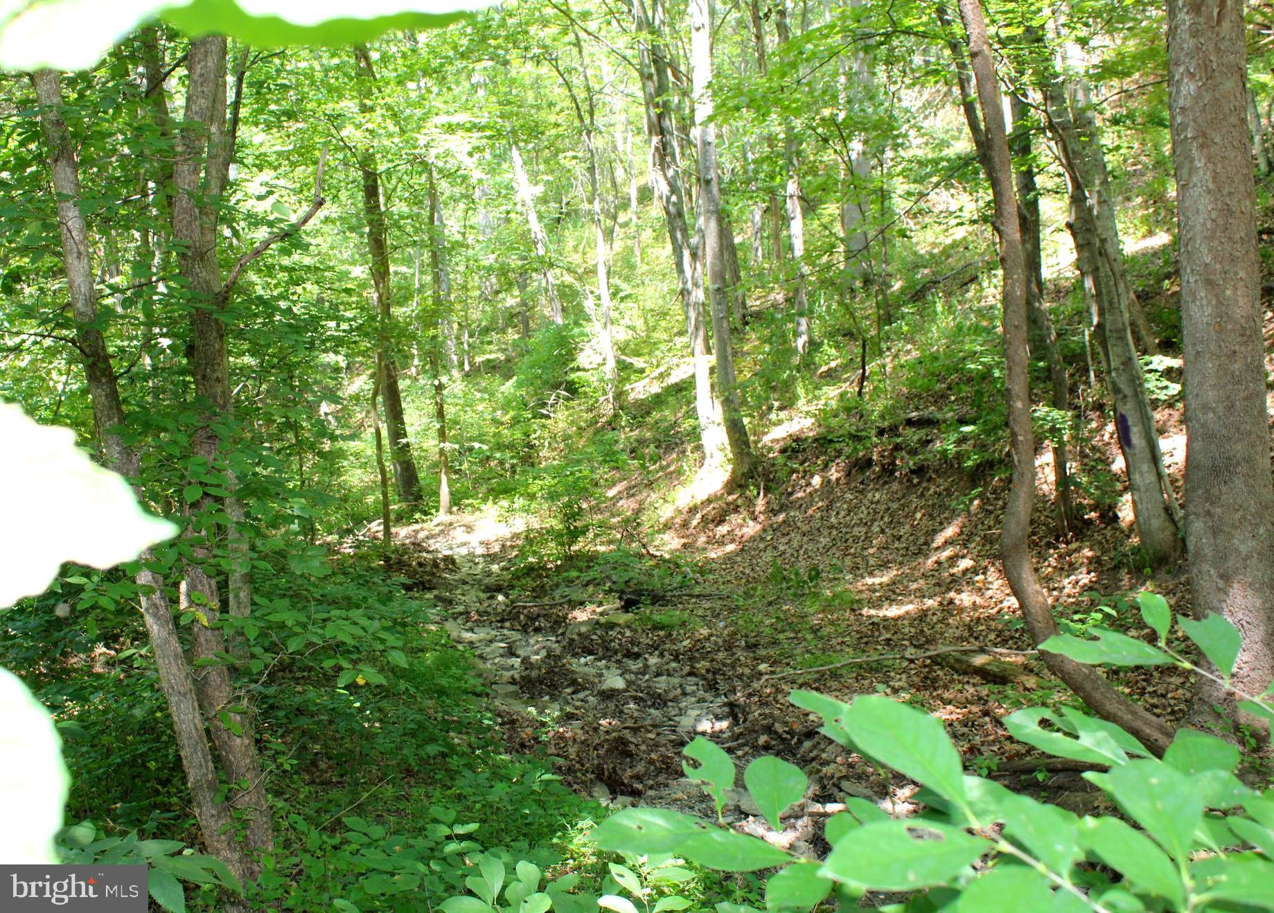 NONE AVAILABLE - Land