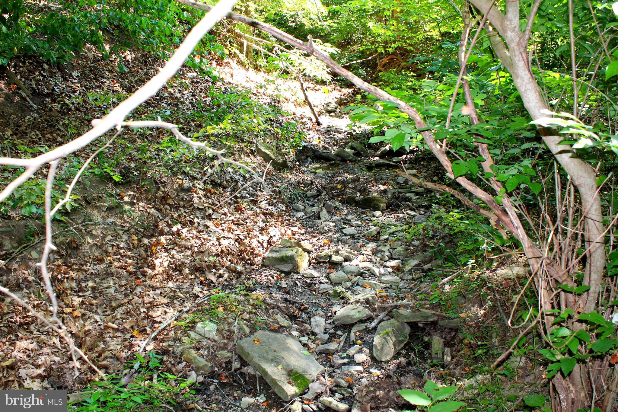 NONE AVAILABLE - Land