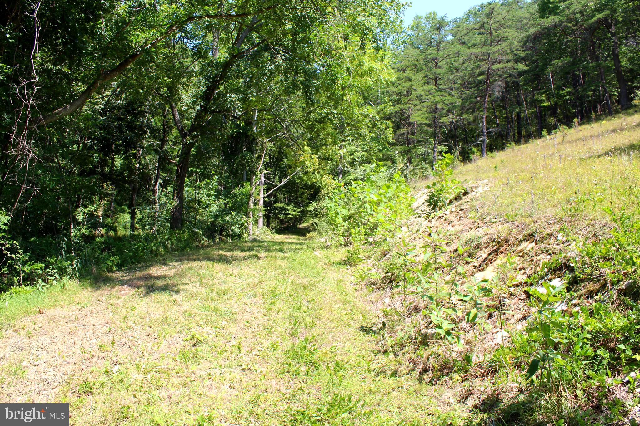 NONE AVAILABLE - Land