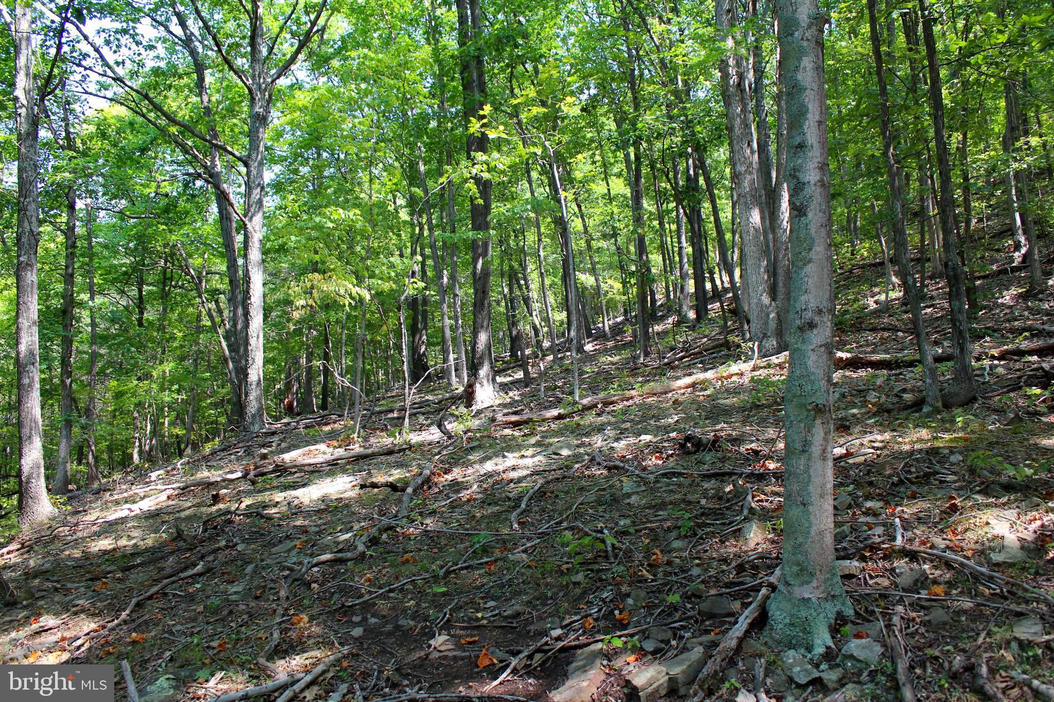 NONE AVAILABLE - Land