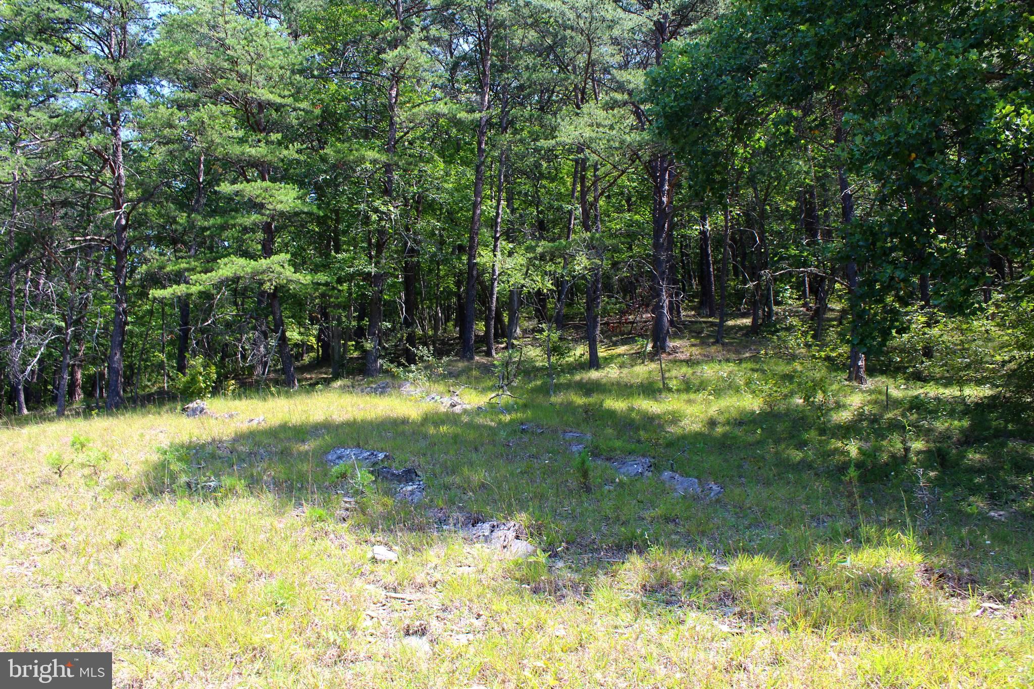 NONE AVAILABLE - Land