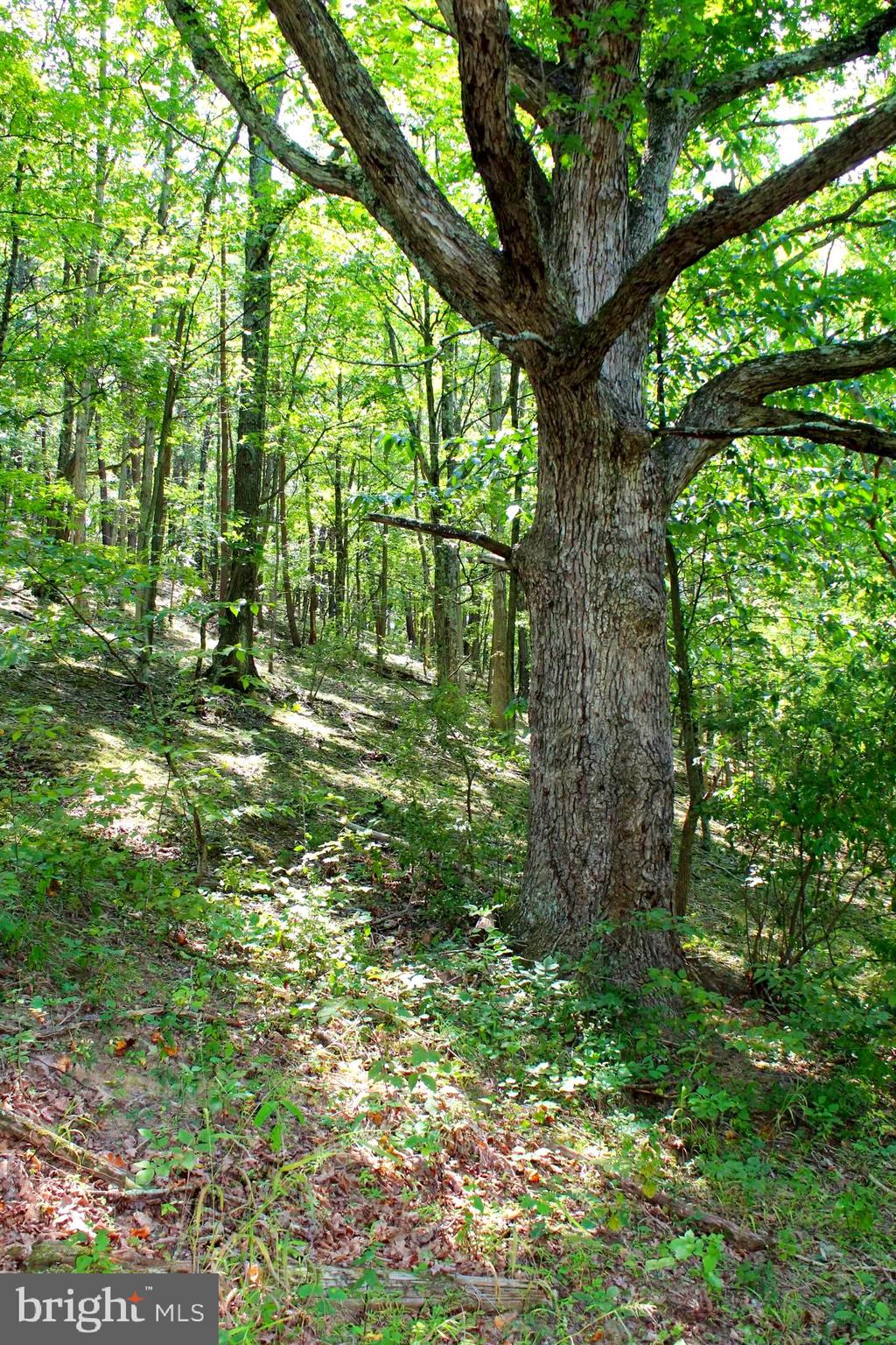 NONE AVAILABLE - Land