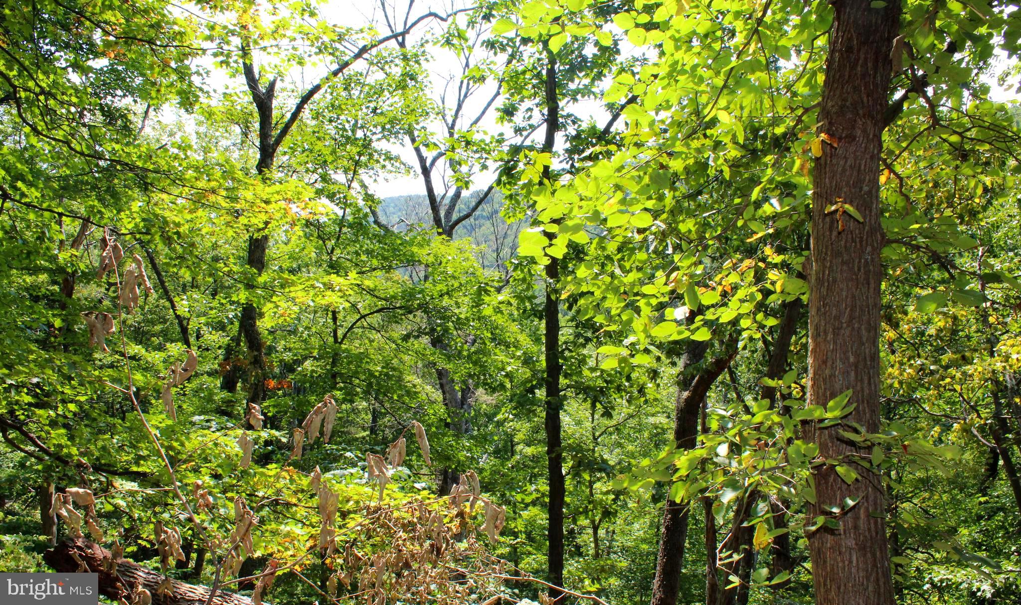 NONE AVAILABLE - Land