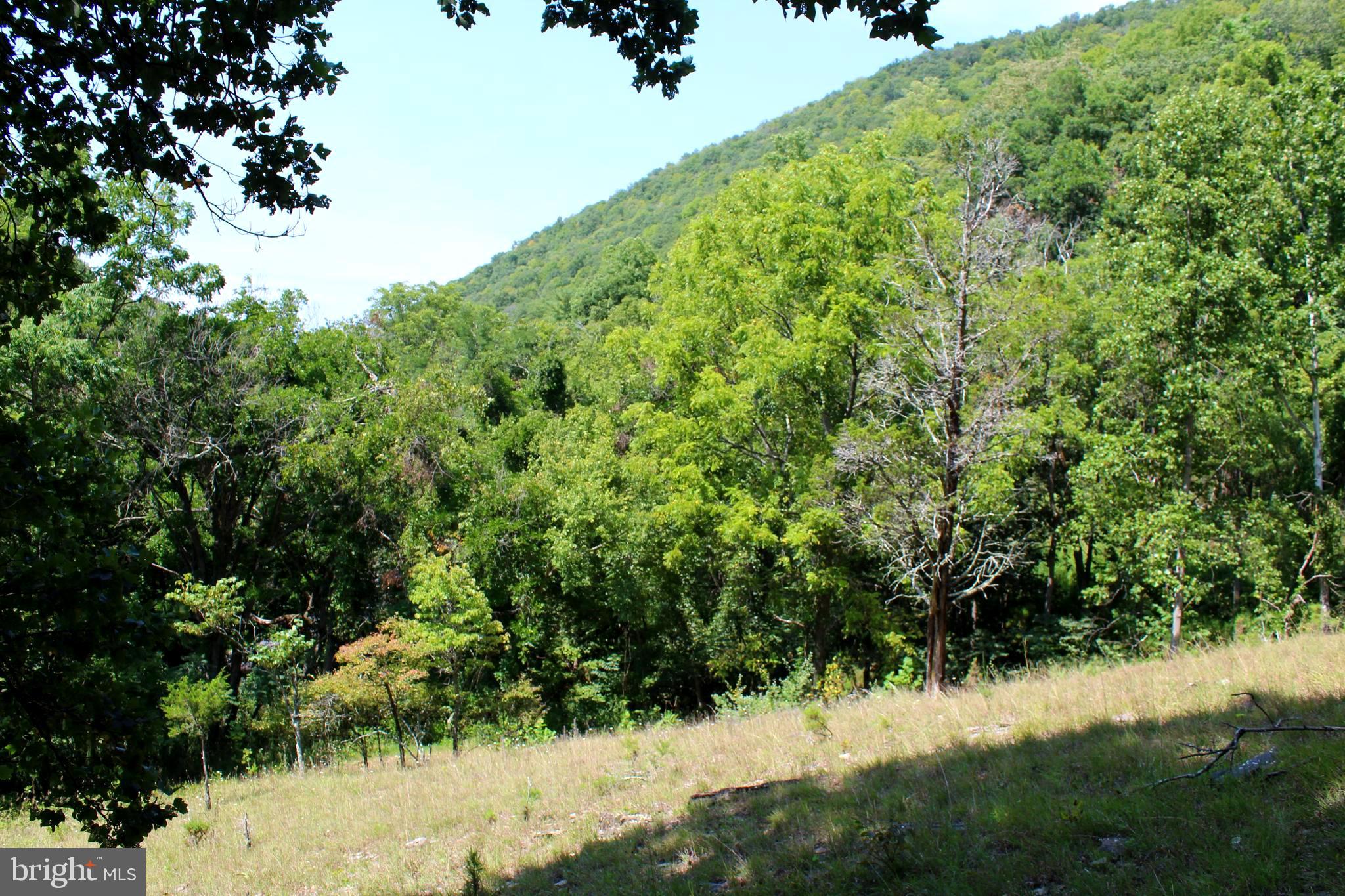 NONE AVAILABLE - Land